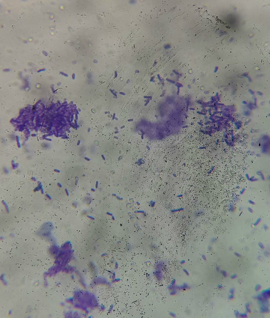 1673598051966707.jpg c8ea15ce36d3d539a6bd7e7e3c87e950342ab08e_看图王.jpg