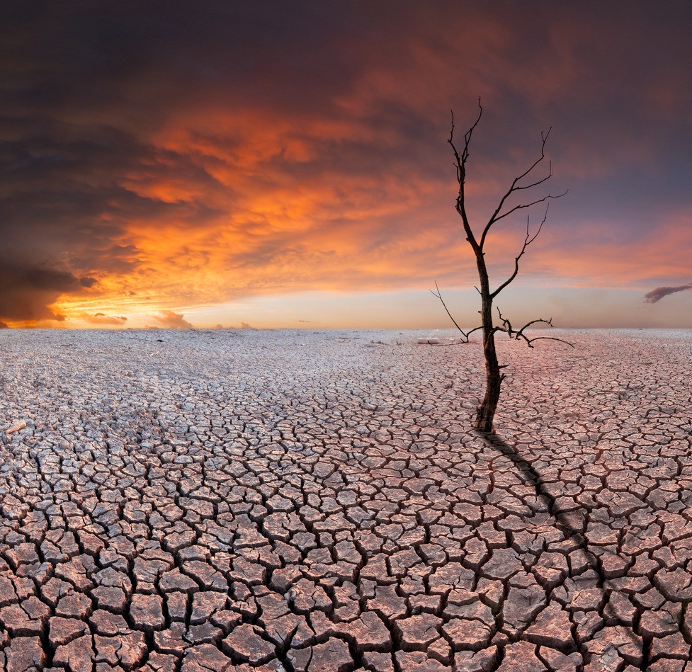 1674872543188672.jpg 01057057c0e8f60000018c1b319032_看图王.jpg