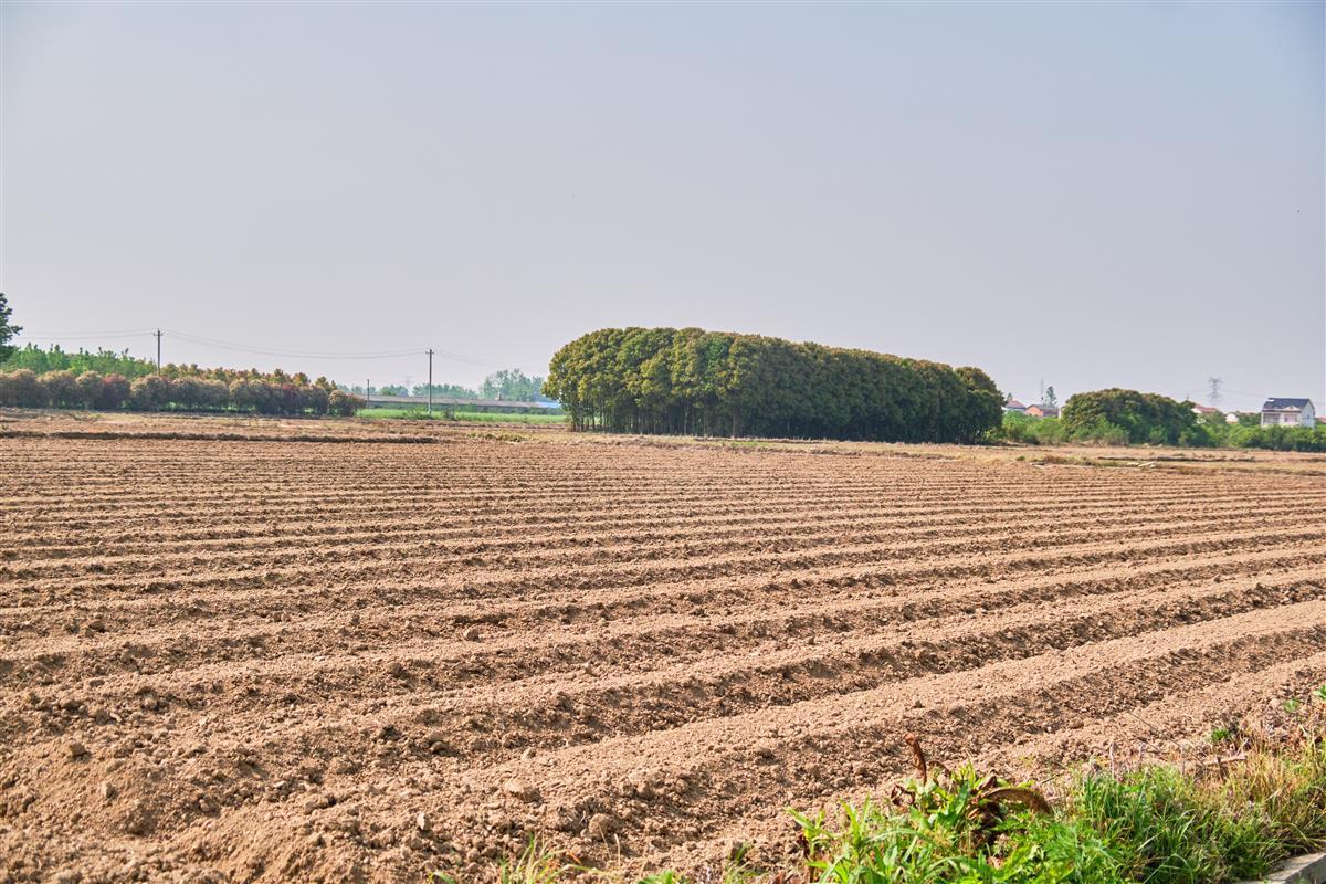 1674896805113487.jpeg 3e8ff39e934ede6aea3ba02761f09d1b.jpeg