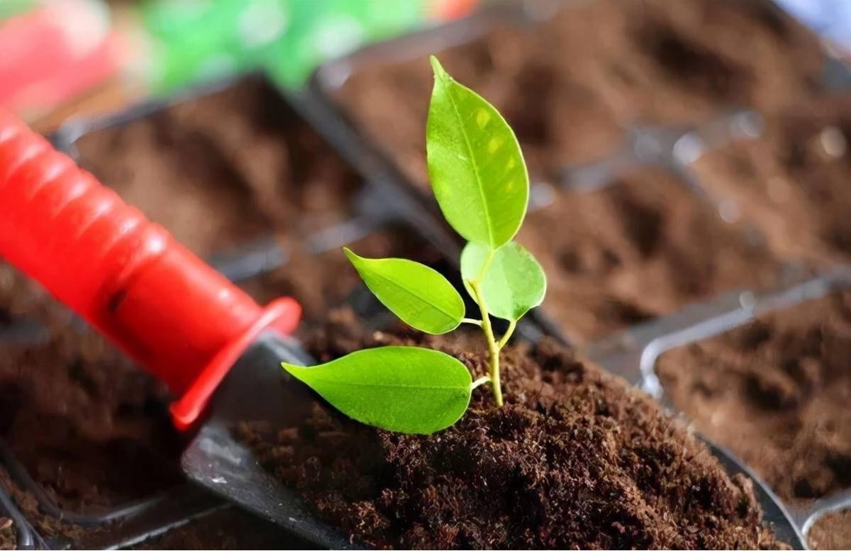 1674983266682521.jpg htfhf.jpg