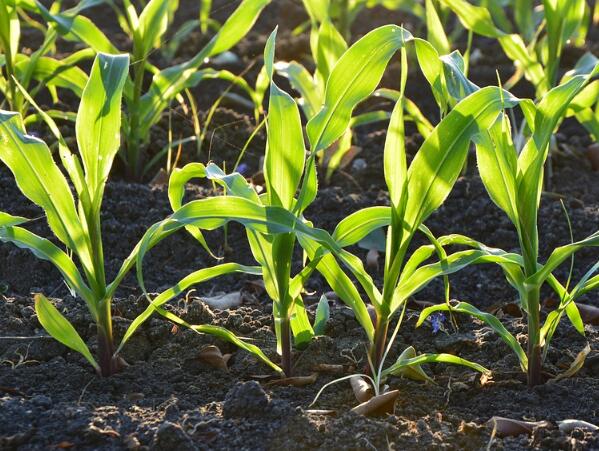 1675302453203460.jpg 593de7b8c1b34.jpg