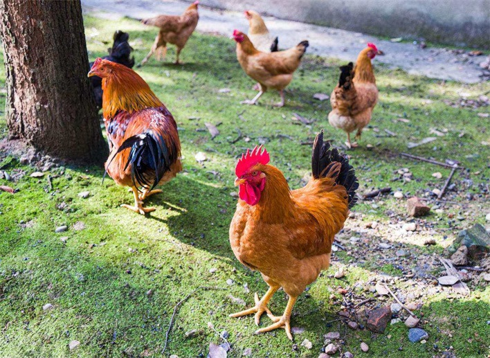 1676253130393727.jpeg 44f59c5bb5d544459b10966390da4675.jpeg