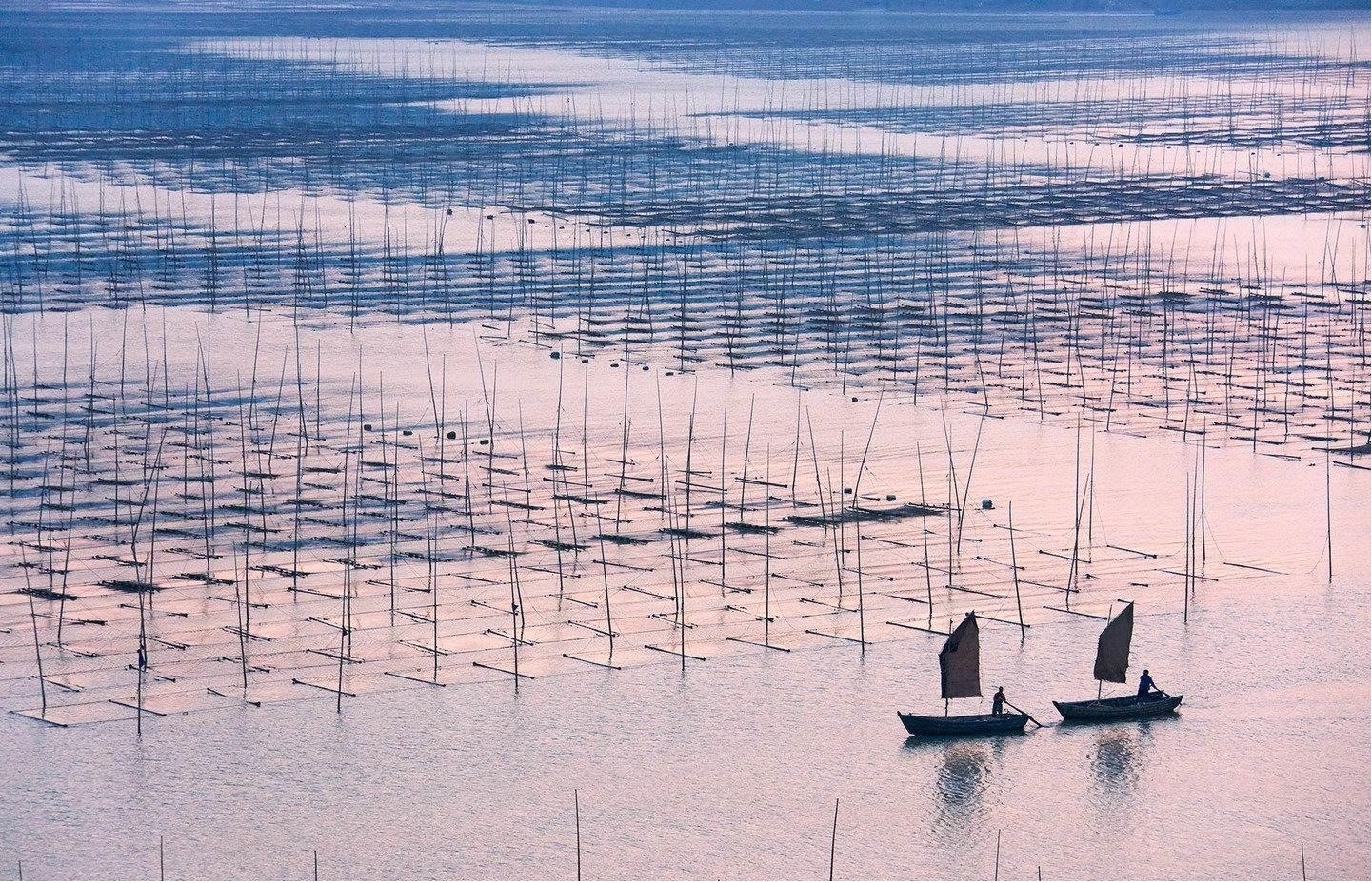 1676967287132087.jpg fjfgjghk.jpg