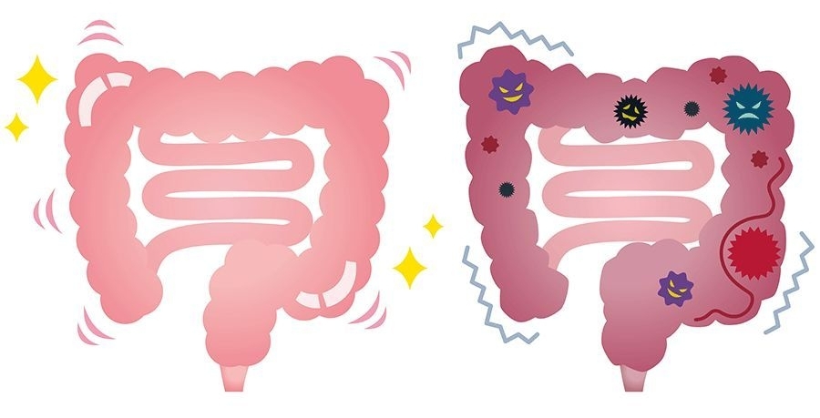 1677465486175961.jpg dsgki.jpg