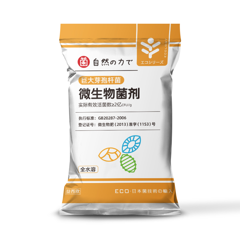 巨大芽孢杆菌种植用