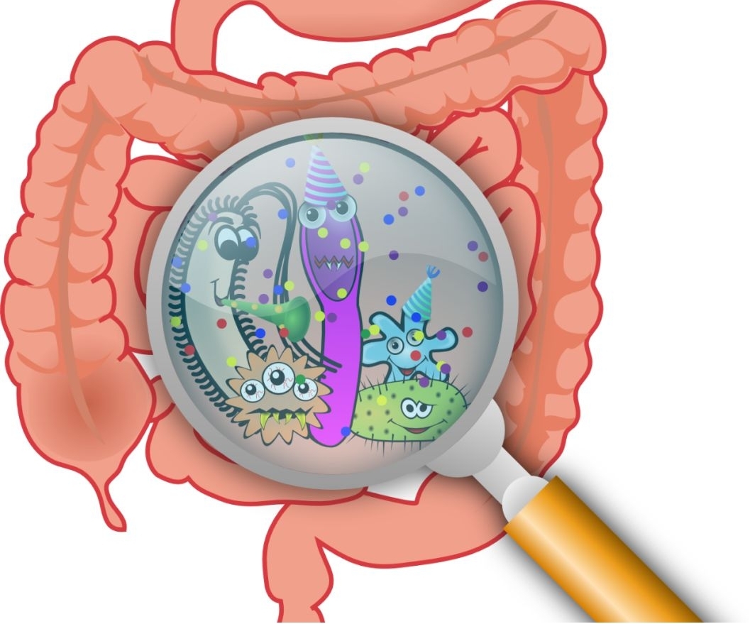 1679537743446505.jpg aretgkj.jpg