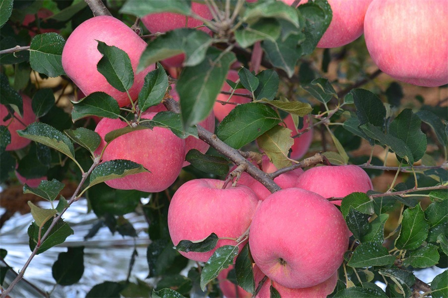 1680493851988426.jpeg b1e66d21ba4c4a2b896daf8e69f2d183.jpeg