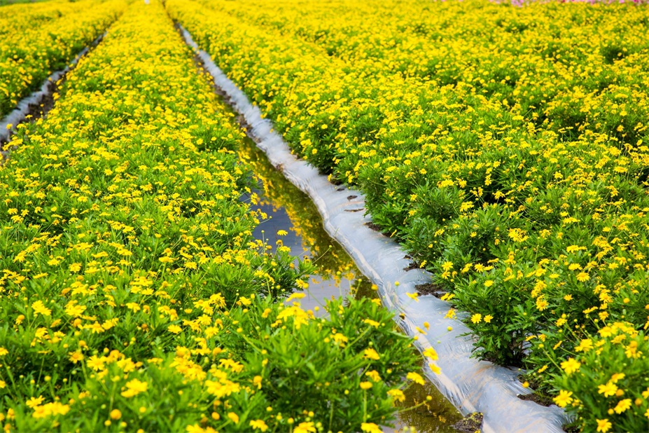 1686624852167915.jpg cc184f2463d03ef7.jpg