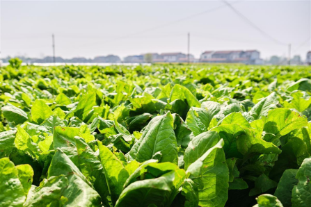 1686798648178700.png image.png