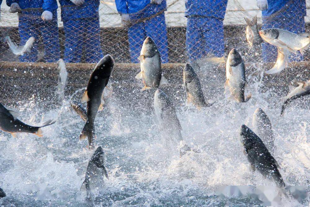 1687231058847692.jpeg a73bf990fb904e30a93fd7b254d965a2.jpeg