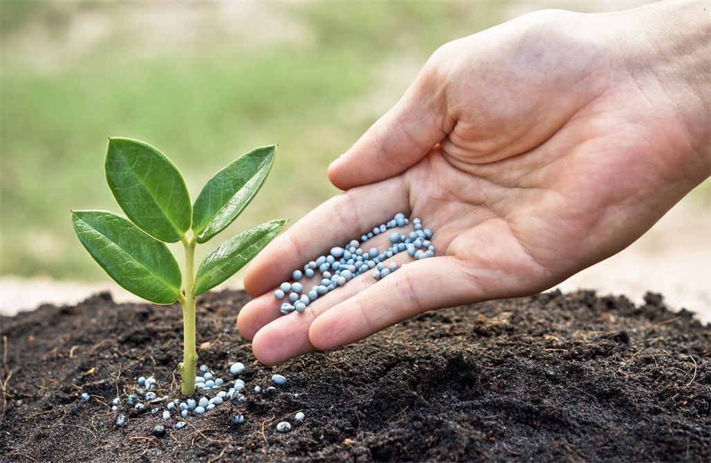 1687836708115407.jpeg 008194c751a4453cb233fd7f822a8376_看图王.jpeg