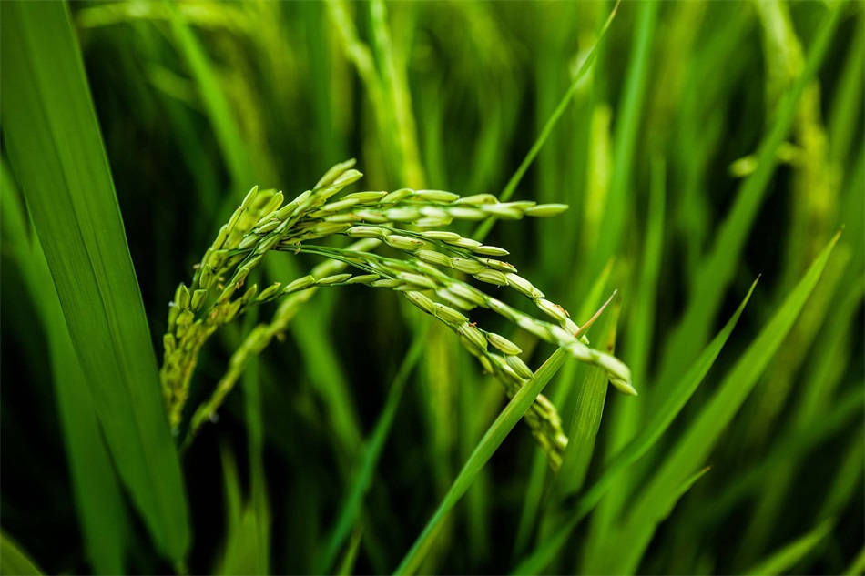 1688010216194736.jpg W020220419472610399931.jpg