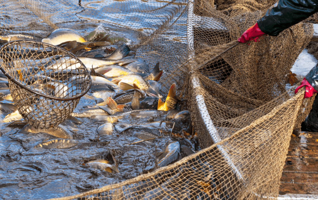 1694504302981958.png c01d59b01ff5407fbef0f714a26c1c2f_看图王.png